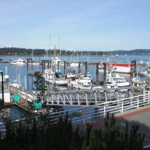 Media 'Nanaimo.' in album 'Friday Harbor'