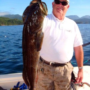 Media 'Ling Cod Seymour Narrows' in album 'Bottom of Chatterbox falls'