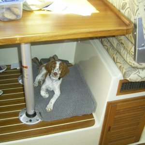 Sadie likes it under the table