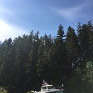 Anchored up at Alder Lake