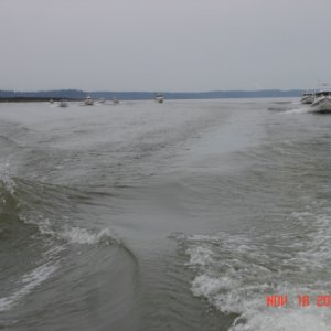 C-Dorys back of the waves