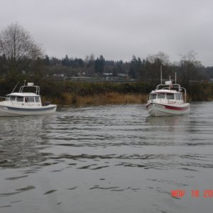 LUNA C & SEASHIFT