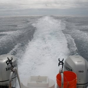 Media 'Running @ 30 kts 70miles out from Gumdrop Seamount 2009' in album 'Shirley Mae and Grandson Damien'