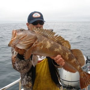 8 ling cod and 21 Albacore Tuna 90 mile north of SF.. 40miles off Bodega Bay.......235 mile Round Trip  Aug 2009