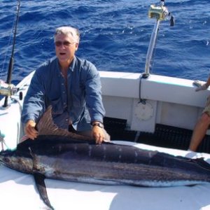 Media '200 lb Striped Marlin 2008 at Rachels Wedding' in album 'Shirley Mae and Grandson Damien'