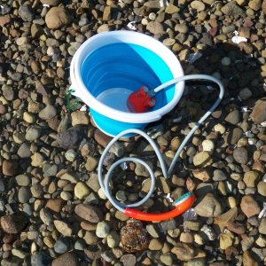 Ready for some warm water.