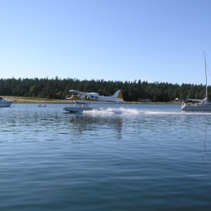 Media 'Fisherman's Bay, Lopez Island.  Amazing to see these guys take off & land amongst so many boats.  Wonder what the rules are re: this?' in album 'Saw this going through Cattle Pass.  THE SEXIEST sailboat I've ever seen.'