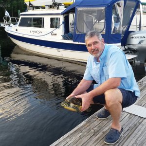 2015-03-05 Turtle at Boat Tree Marina, Sanford, FL