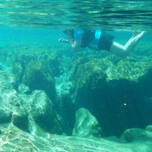 2015-03-11b Salt Springs