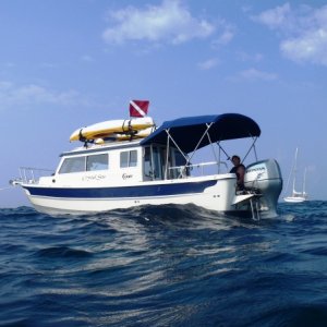 On mooring ball at Molasses Reef.