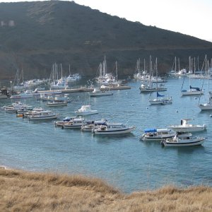 C-Dories on the String Line - (C-View)