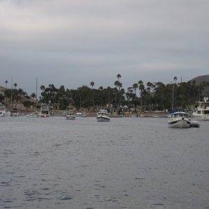 Heading back to Marina Del Rey (C-View)
