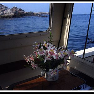 (Smuttynose) Isles of Shoals, NH