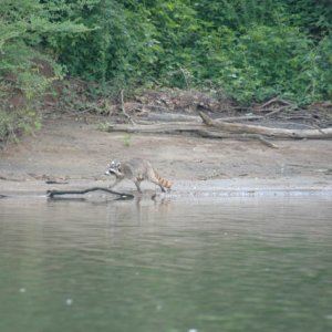 TN River 7-4-08 VR 042