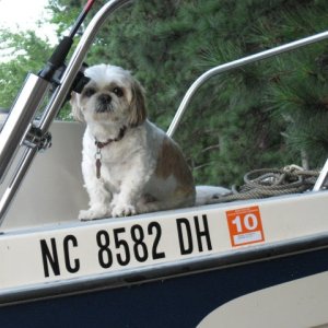 No really I'm fine up here!