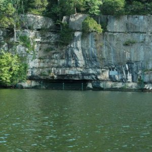 Bat Cave