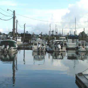 C-Dorys at Warrenton Dock