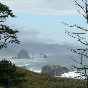 (Lynn Marie) OREGON