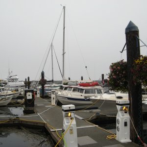The fleet grows amid the fog