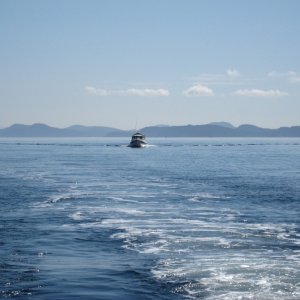 Gorgeous Gulf Island day.  Two Bears following Kerri On.  Hull speed cruise to Wallace Island
