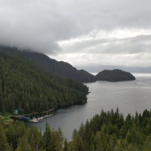 AK019