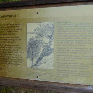 Information at Eagle Harbor