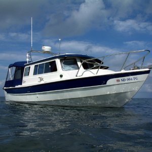 Wild Blue in the Laguna Madre