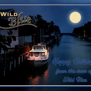 Decorated for the Lighted Boat Parade