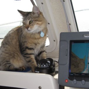 Izzy at the helm