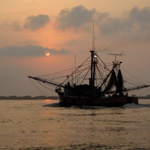 muted sunrise