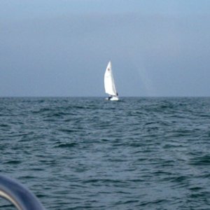 Out in the Gulf