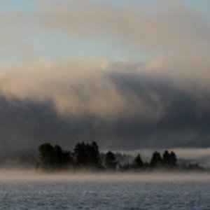 morning fog