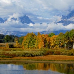 Fall colors