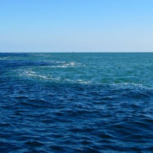 Blue line in the Gulf