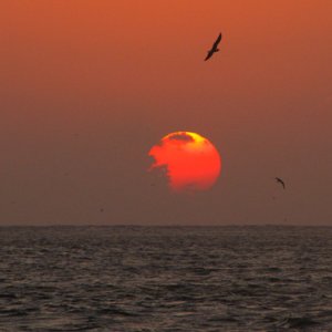 Another sunrise cruise