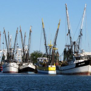 shrimp boats