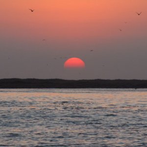 Sunrise