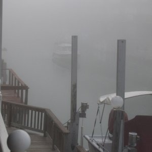 Coming home in the fog