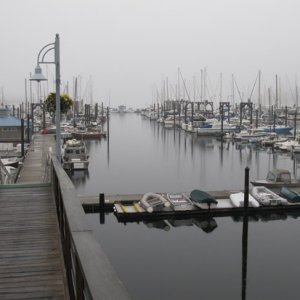 misty marina morning
