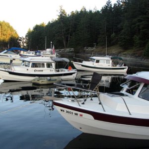 C-Dorys at Pirates\' Cove