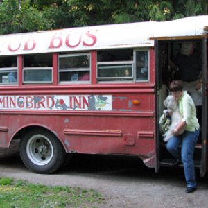 The Hippie Bus to Hummingbird Pub