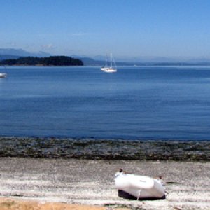 A view while hiking by Montague Harbour