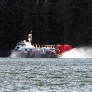 A hover craft came through the harbor