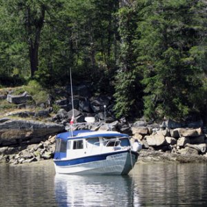 Getting to the back of the cove