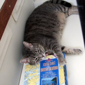 Molly after the dinghy ride