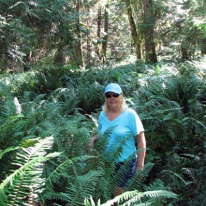 Which way do we go???