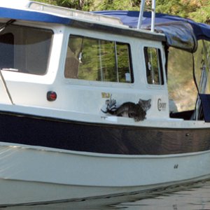 Molly waiting for her Daddy to come back in the dinghy