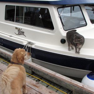 Molly made a new friend at the dock