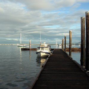 Early sun on Sidney Spit