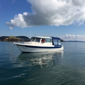 No other boats out except for this smart cruiser